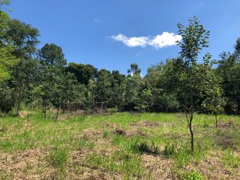 commercial_property em Rua Joaquim Pinto, Loteamento Chácaras Bauruenses II - Bauru - SP