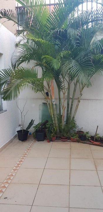 apartment em Avenida Dom José Gaspar, Coração Eucarístico - Belo Horizonte - MG