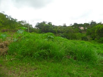 land_lot em Rua Monteiro Lobato, Bela Vista - Divinópolis - MG