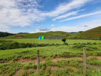 agricultural em Avenida Doutor José Mariano, Palmeiras - Ponte Nova - MG
