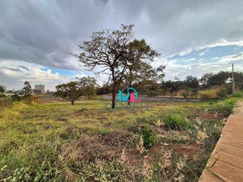 land_lot em Avenida Sílvio Cruz, Jardim Maria Luiza - Araraquara - SP