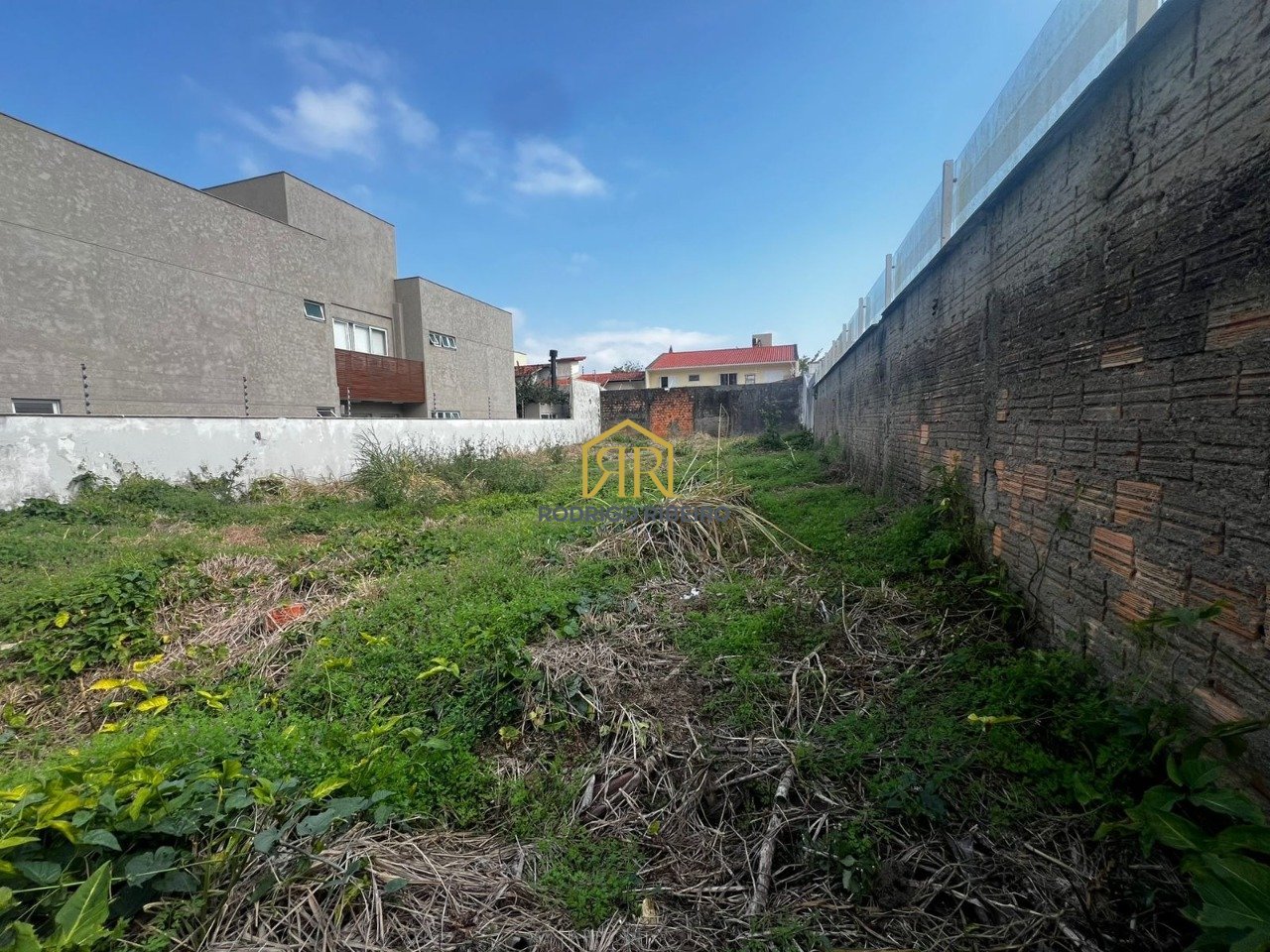 WhatsApp Image 2025-07-24 at 18.00