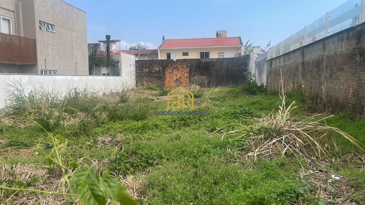 WhatsApp Image 2025-07-24 at 18.00