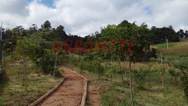 land_lot em Rua Doutor Ladislau Reti, Parque Alexandre - Cotia - SP