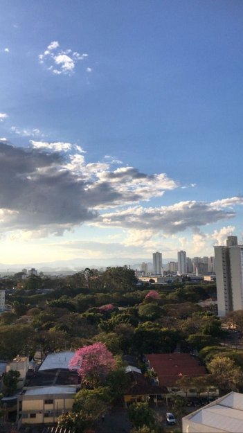 apartment em Rua Icatu, Conjunto Residencial Trinta e Um de Março - São José dos Campos - SP
