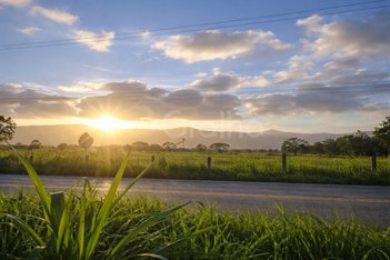 land_lot em Rodovia Francisco Thomaz dos Santos, Pântano do Sul - Florianópolis - SC