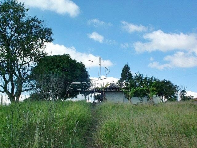 3 Terreno