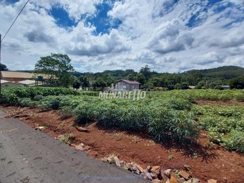 land_lot em Tamanduá, Tamanduá - Concórdia - SC