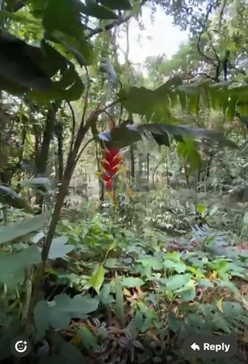land_lot em Rua Mariluz, Chácara São João - Carapicuíba - SP