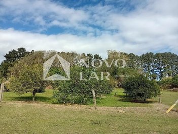 agricultural em Estrada Maracanã, Maracanã - Glorinha - RS