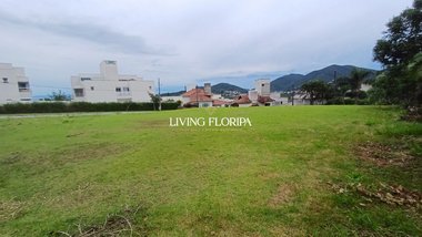 land_lot em Professor Salvio Guilhon Gonzaga, João Paulo - Florianópolis - SC