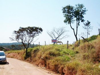 land_lot em Rua Caraguataí, Flor da Cantareira - São Paulo - SP