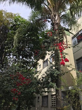 apartment em Rua Amoreira, Cidade das Flores - Osasco - SP