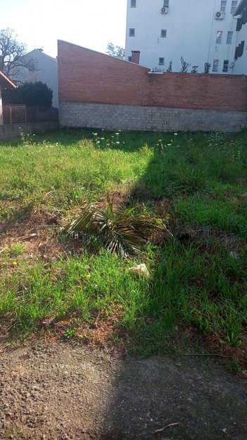 land_lot em Rua Waldemar de Zorzi, Vinhedos - Caxias do Sul - RS