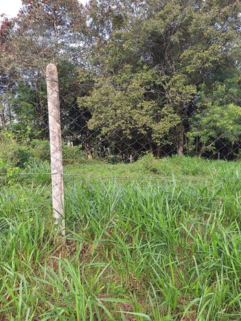 land_lot em Rua Guilherme Einloff Netto, Fazenda São Borja - São Leopoldo - RS
