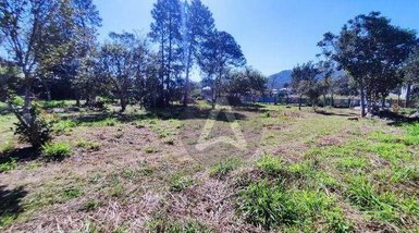 land_lot em Servidão Jaborandi, Campeche - Florianópolis - SC