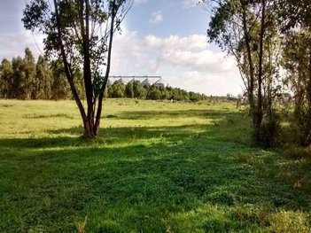land_lot em Vinte e Cinco de Julho, Três Vendas - Pelotas - RS
