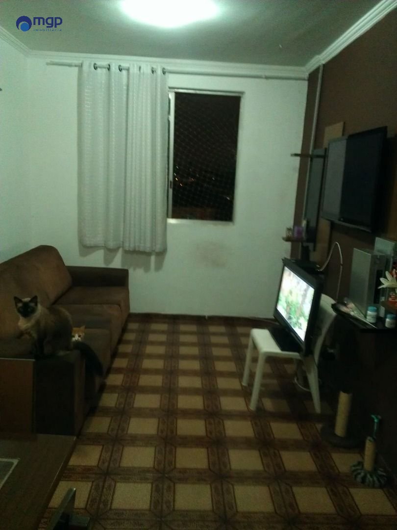 | Foto_migracao | 0