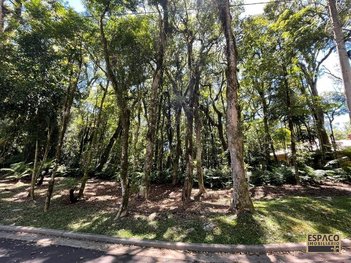 land_lot em Rua Prefeito Waldemar Frederico Weber, Mato Queimado - Gramado - RS
