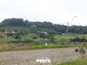 land_lot em Rivadavia Soares, Monte Bérico - Caxias do Sul - RS