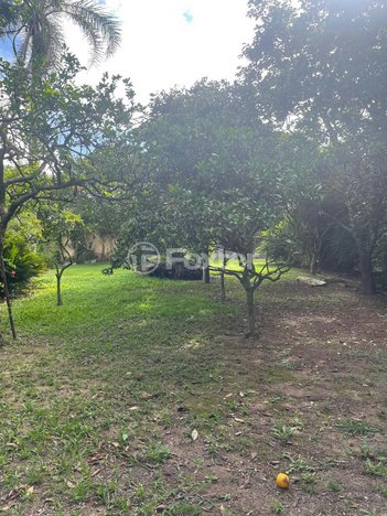 land_lot em Rodovia Tapir Rocha, São Lucas - Viamão - RS