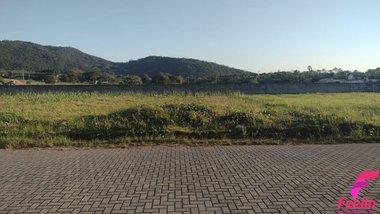 land_lot em Dr. Antônio Luiz Moura Gonzaga, Rio Tavares - Florianópolis - SC