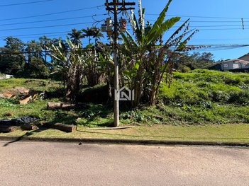 land_lot em Rua dos Álamos, Jardim Barbacena - Cotia - SP