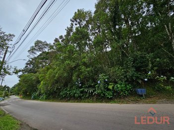 land_lot em Estrada da Serra Velha, São Francisco de Paula - São Francisco de Paula - RS