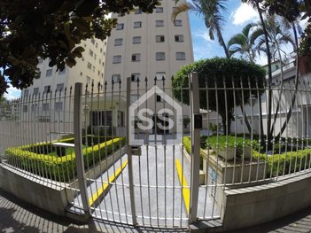apartment em Rua Dardanelos, Alto da Lapa - São Paulo - SP