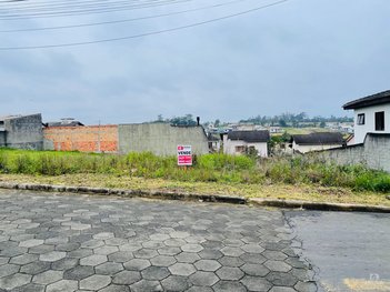 land_lot em Rodovia SC-443, Vila Selinger - Criciúma - SC