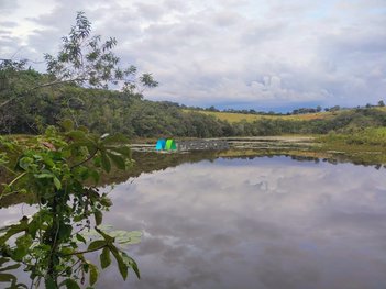 agricultural em Rua Augusto Moreira, Centro - Itaúna - MG