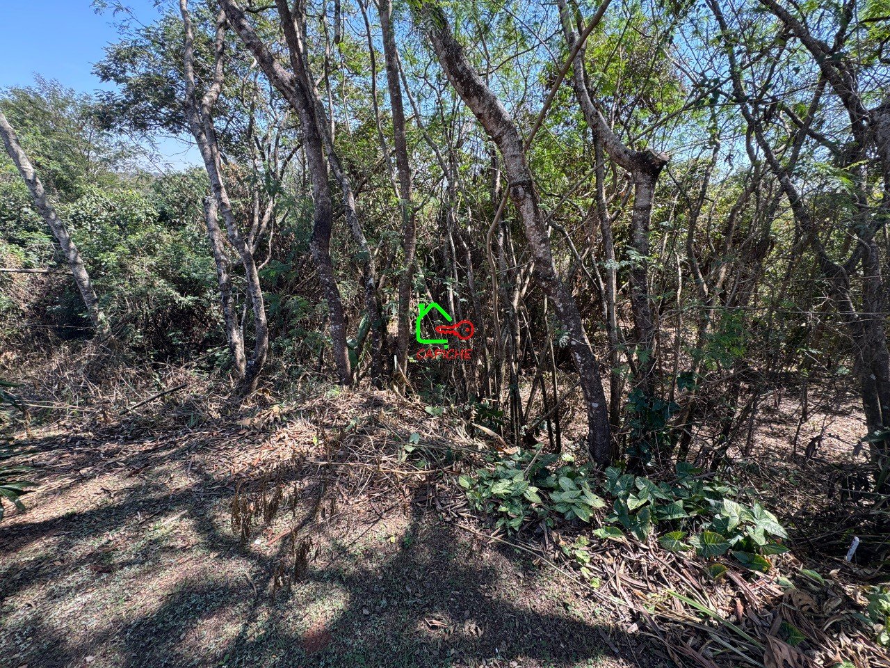 image-2