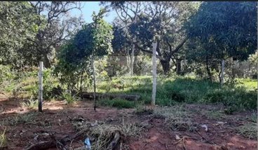 land_lot em Rua Adventor Divino de Almeida, Jardim Noroeste - Campo Grande - MS