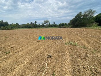 agricultural em Avenida Raimundo Ribeiro da Silva, Centro - Jequitibá - MG