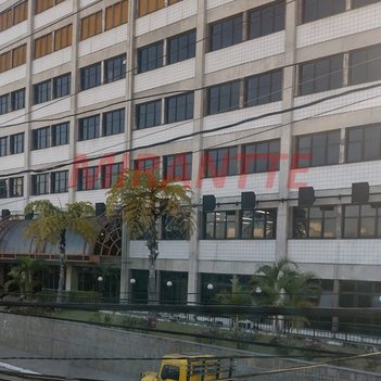 business em Coronel Antônio Ferraz, Vila Guilherme - São Paulo - SP