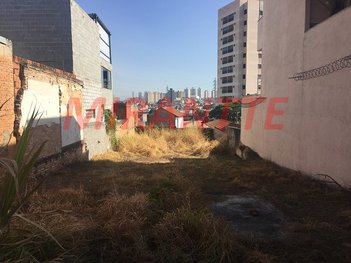 land_lot em Rua Pereiras, Jardim das Laranjeiras - São Paulo - SP