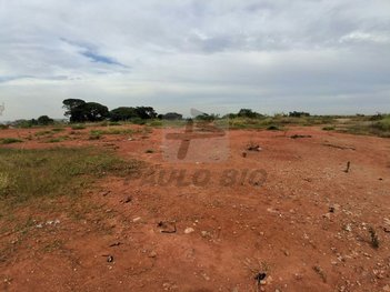 commercial_land_lot em Avenida Candea, Cidade Seródio - Guarulhos - SP