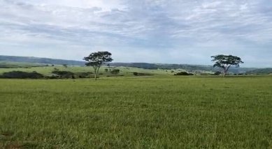 agricultural em Avenida Gonçalves Dias, Centro - Marília - SP