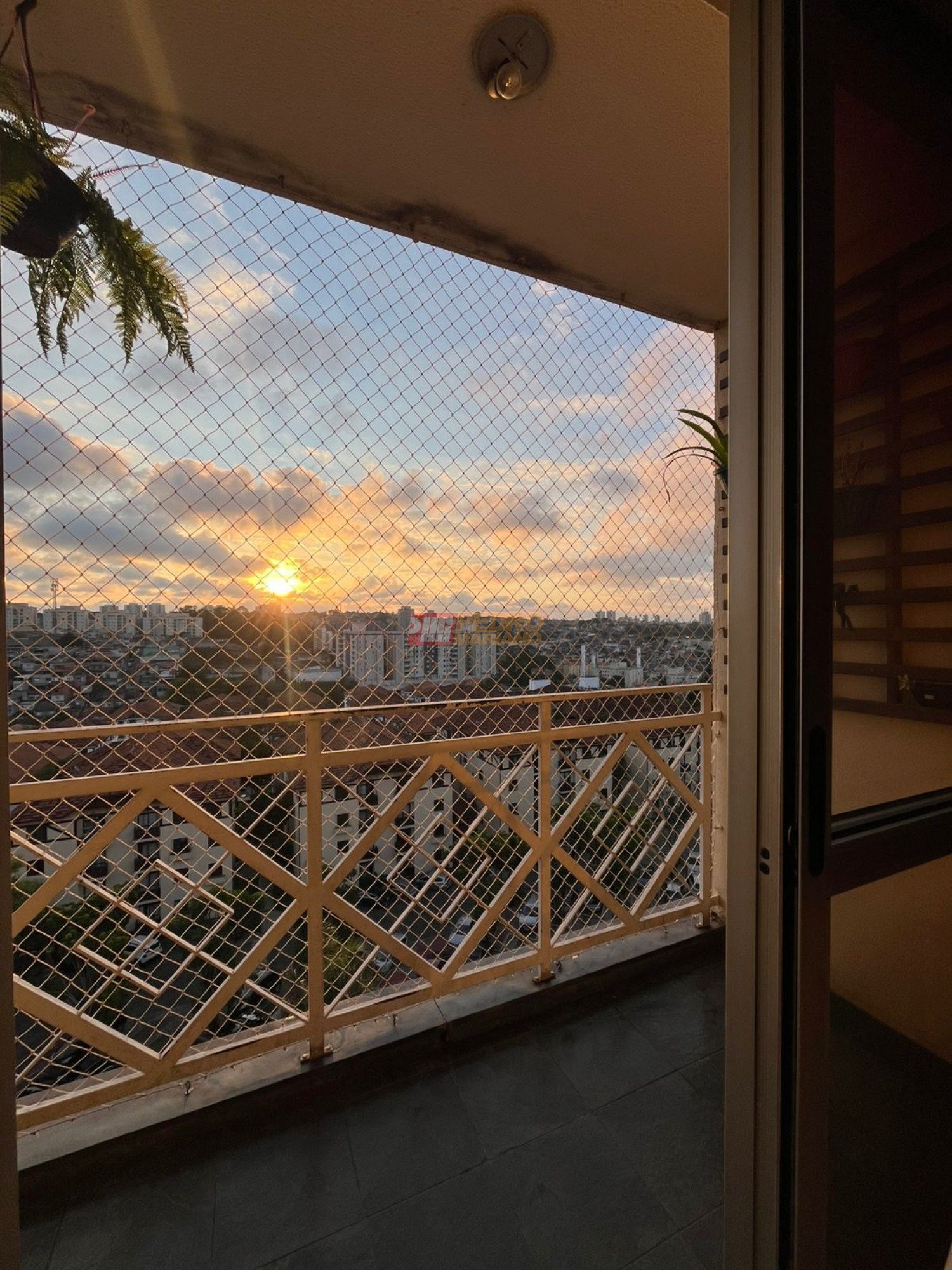 WhatsApp Image 2025-11-07 at 17.48