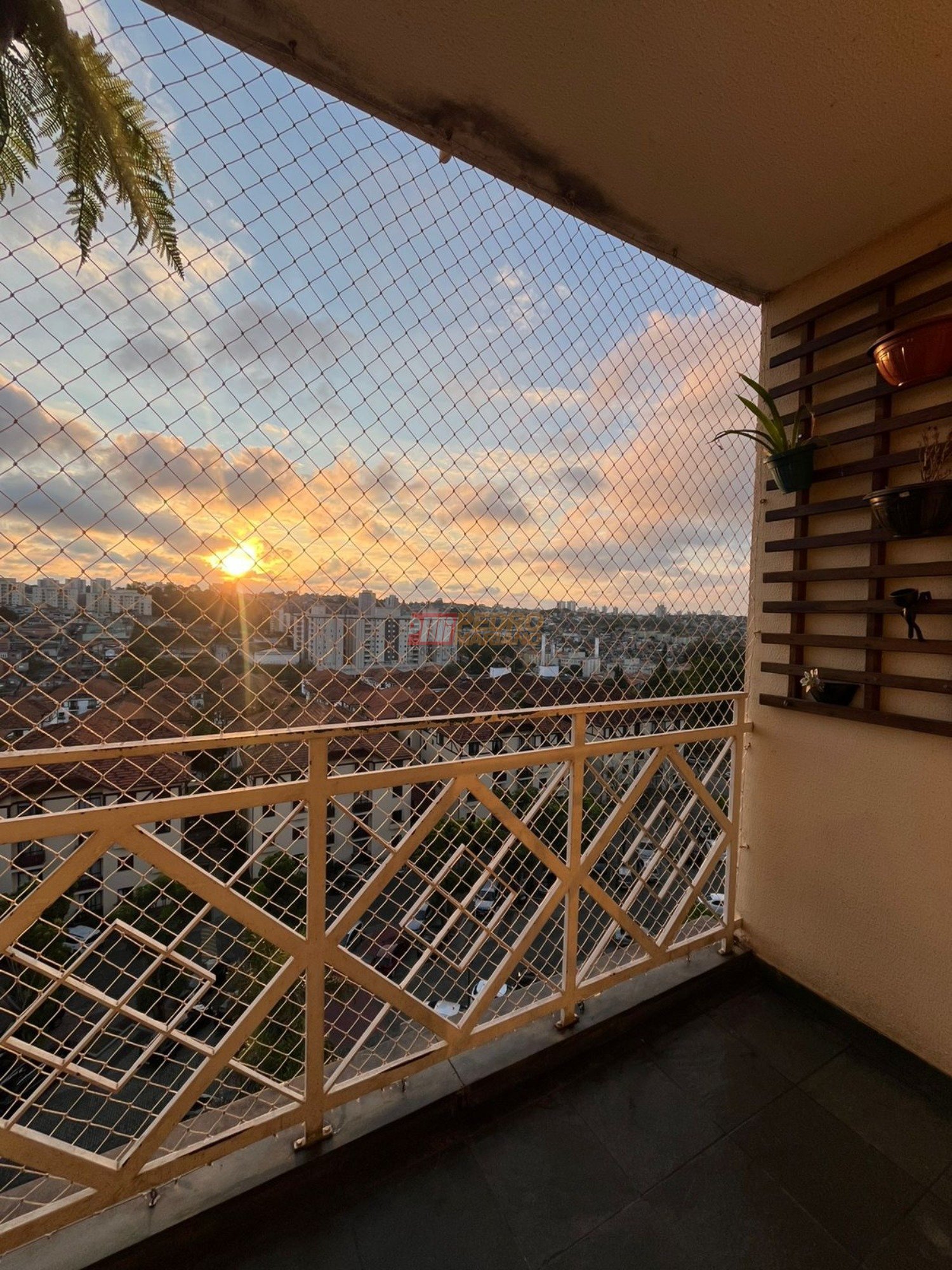 WhatsApp Image 2025-11-07 at 17.48