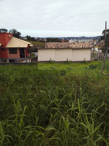 land_lot em Rua Elisa Zuchinalli Frederico, Vila São José - Criciúma - SC