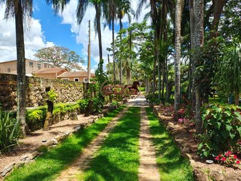 agricultural em Área Rural, Área Rural de São Sebastião da Grama - São Sebastião da Grama - SP