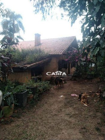 agricultural em Rua Ponta de Lucena, Jardim Jaraguá - São Paulo - SP