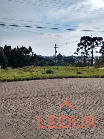land_lot em Rua Conselho Comunitário, São Francisco de Paula - São Francisco de Paula - RS