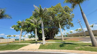 land_lot em Avenida Antônio Carlos Couto de Barros, Vila Santa Rita (Sousas) - Campinas - SP