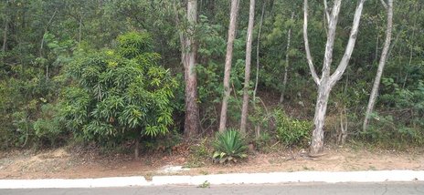 land_lot em Alameda Perimetral das Orquídeas, Bosque Residencial do Jambreiro - Nova Lima - MG