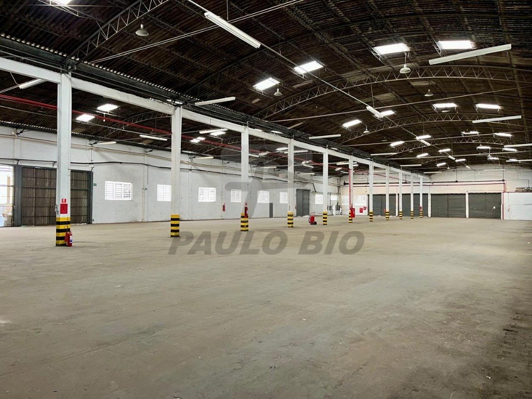 WhatsApp Image 2025-07-03 at 17.13