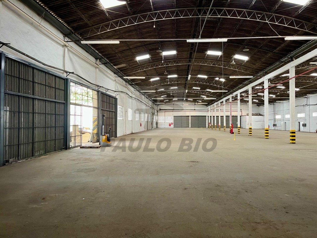 WhatsApp Image 2025-07-03 at 17.13