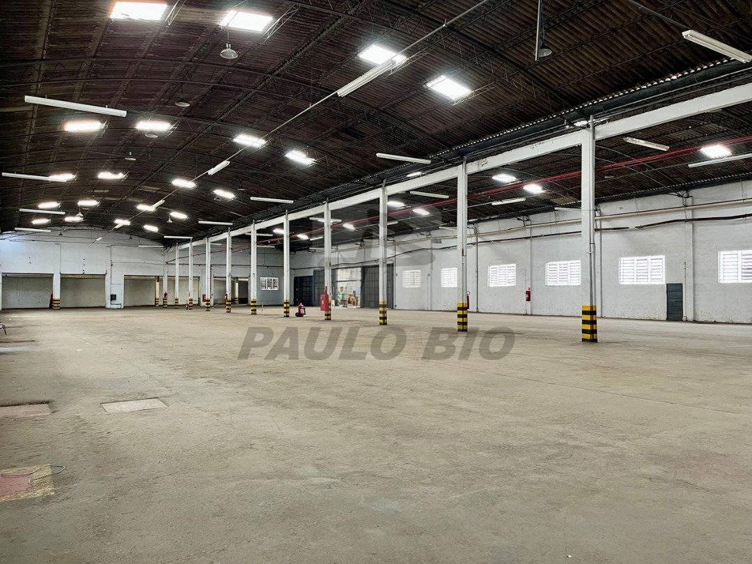 WhatsApp Image 2025-07-03 at 17.13