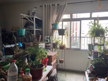 apartment em Rua Alagoas, Higienópolis - São Paulo - SP